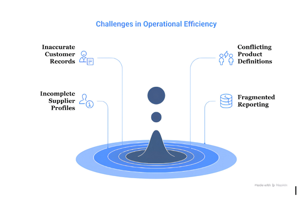 Challenges in Operational Efficiency